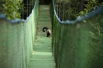 Buena Vista Lodge & Adventure 과나카스테 외부 사진