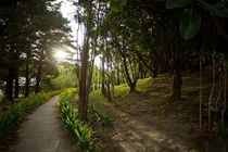 Buena Vista Lodge & Adventure 과나카스테 외부 사진